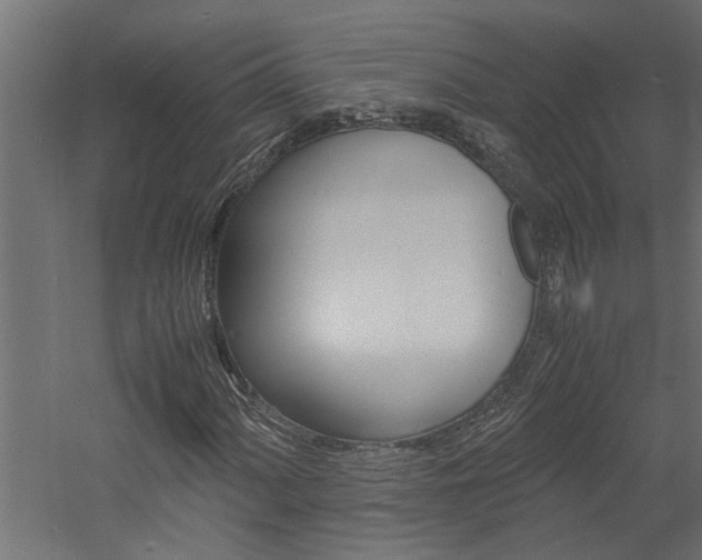 X0000060751060200511100932