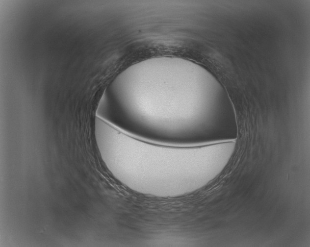 X0000060751061200511100932