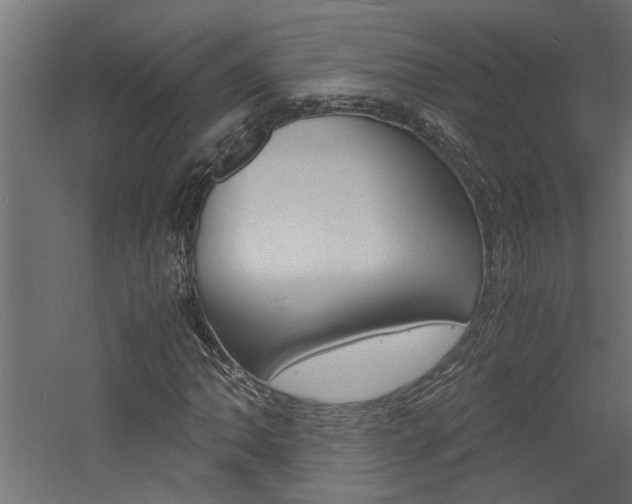 X0000060751062200511100932