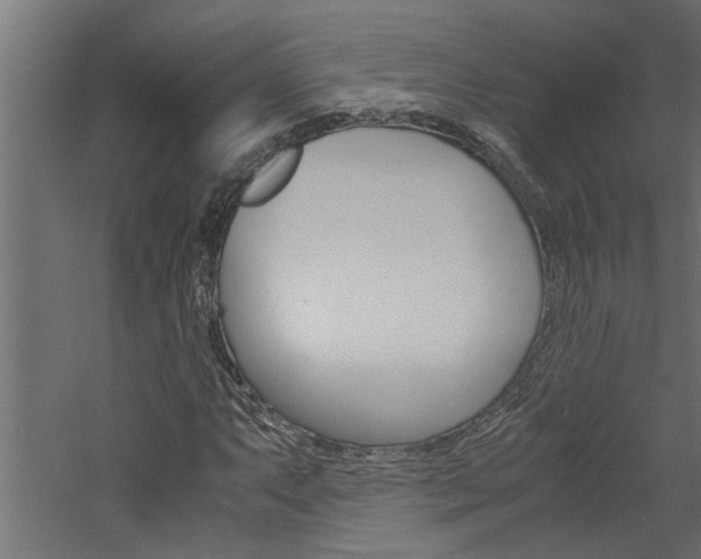 X0000060751063200511100932