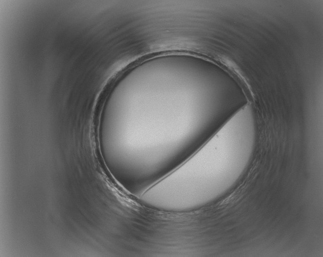 X0000060751072200511100932
