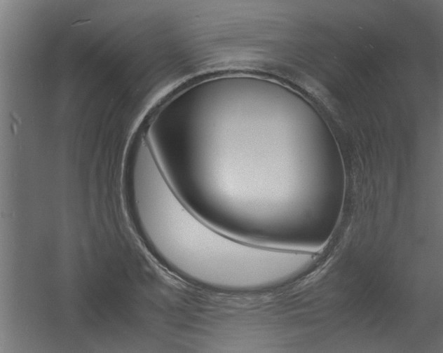 X0000060751077200511100932