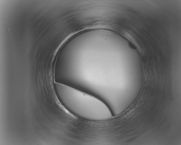 X0000060751092200511100931