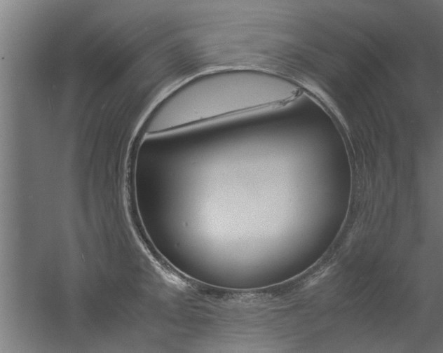 X0000060751093200511100931