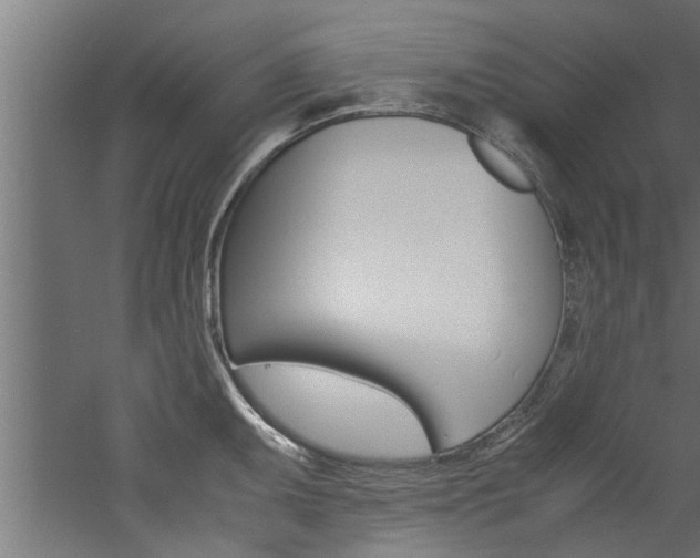 X0000060751095200511100931