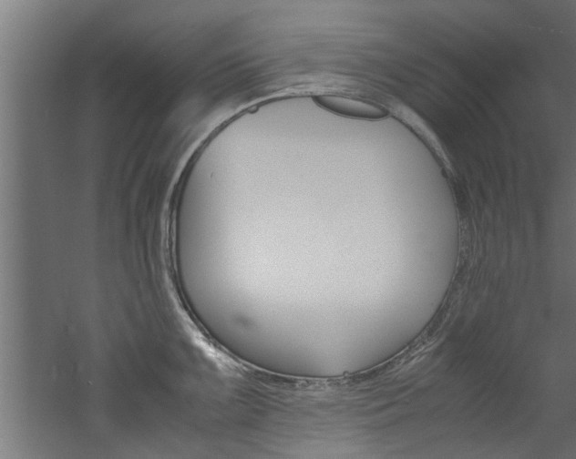 X0000060751099200511100931