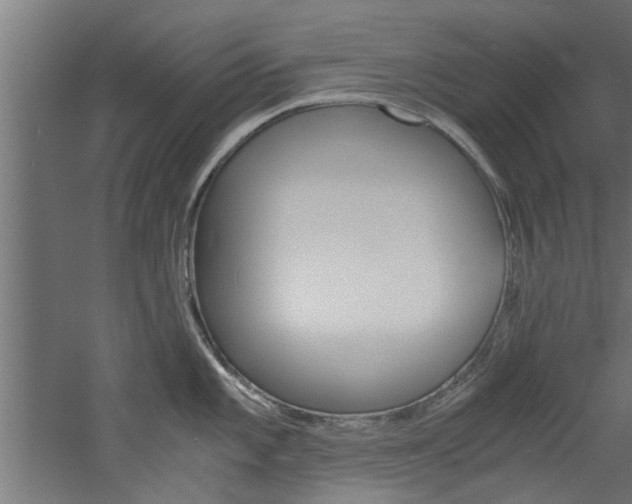 X0000060751101200511100931