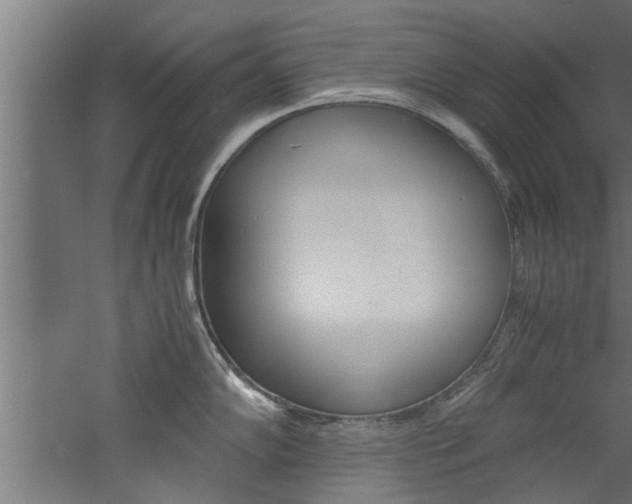 X0000060751102200511100931