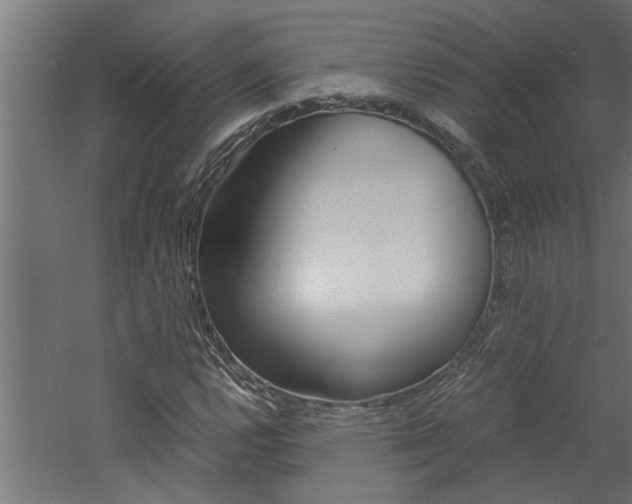 X0000060751112200511100930