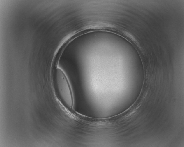 X0000060751122200511100931