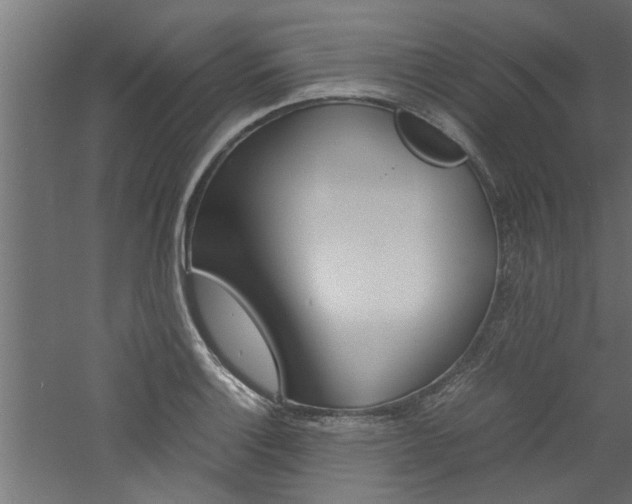X0000060751132200511100931