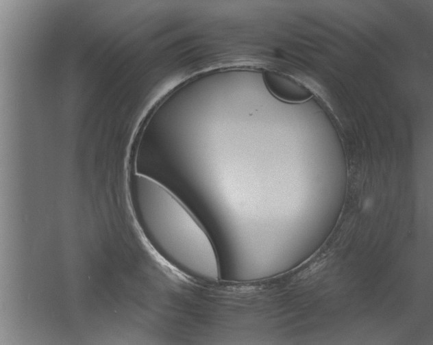 X0000060751135200511100931
