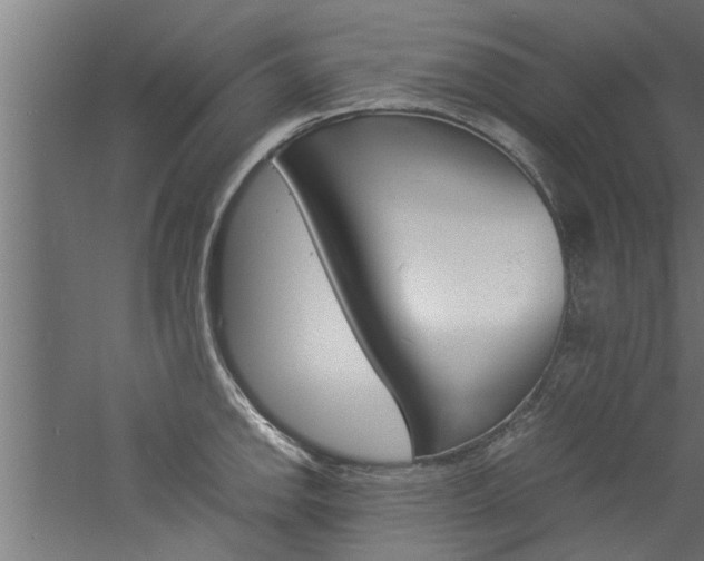 X0000060751142200511100931