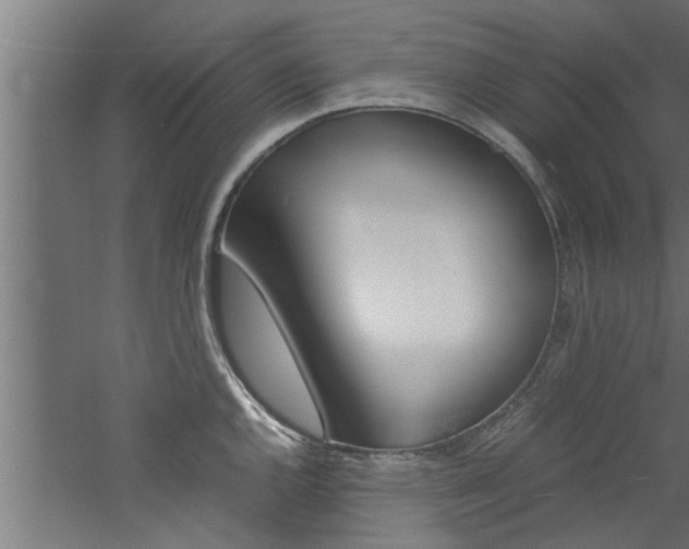 X0000060751144200511100931