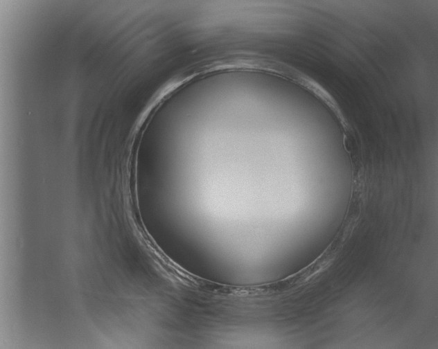 X0000060751146200511100931