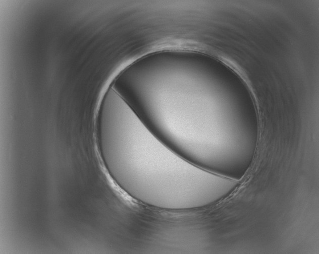 X0000060751152200511100931