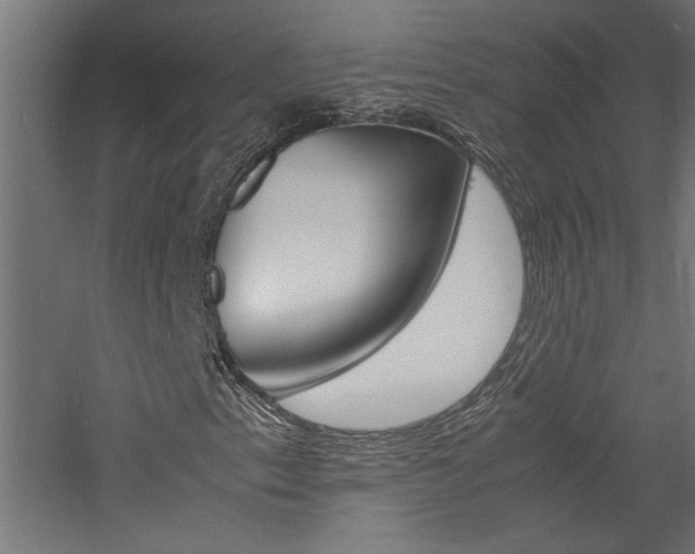 X0000060751153200511100930