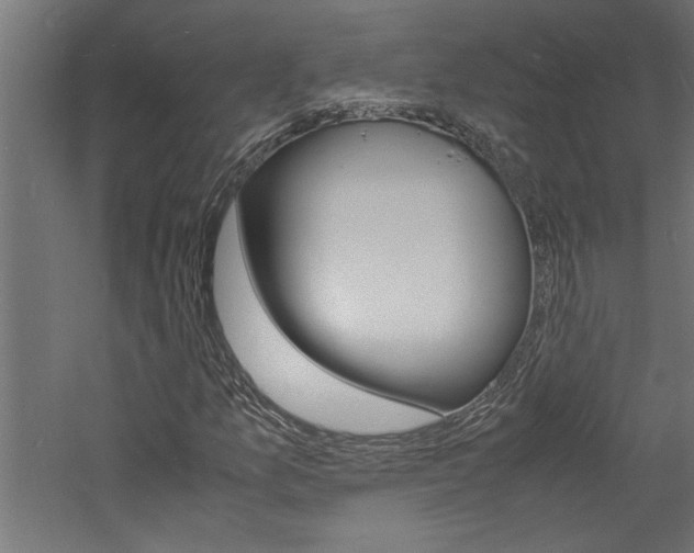 X0000060751157200511100930