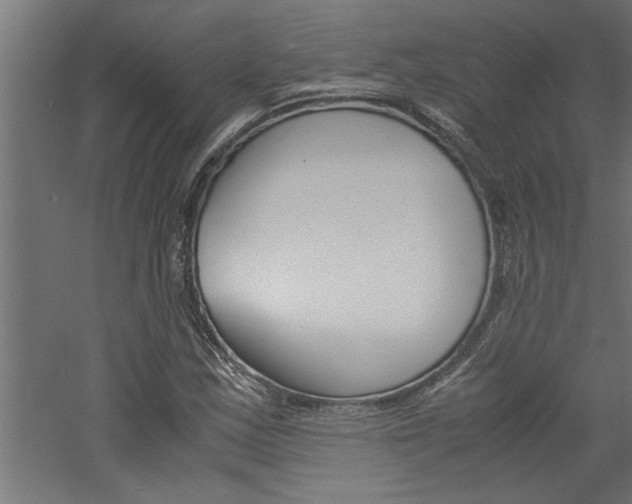 X0000060751163200511100930