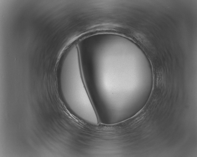 X0000060751164200511100930