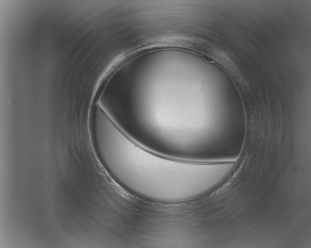 X0000060751180200511100930
