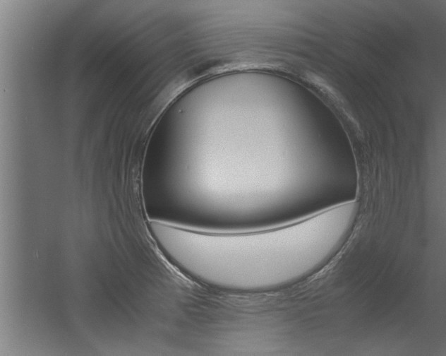 X0000060751185200511100930
