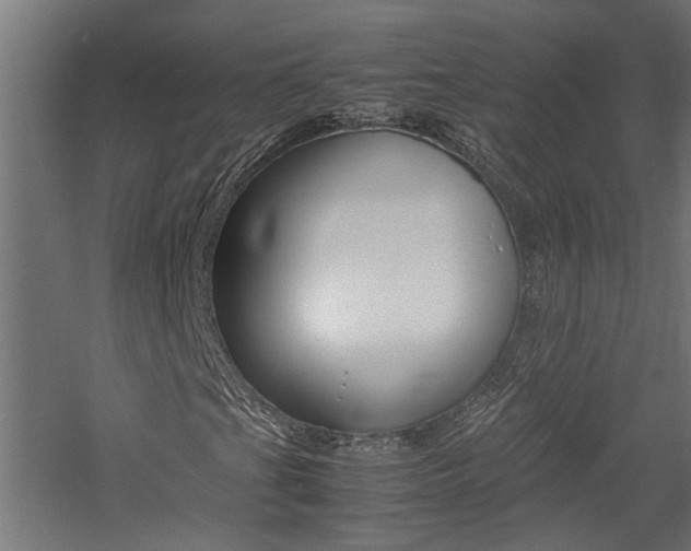 X0000060751201200511100929
