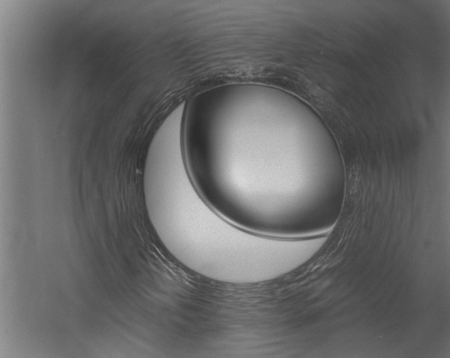 X0000060751202200511100929