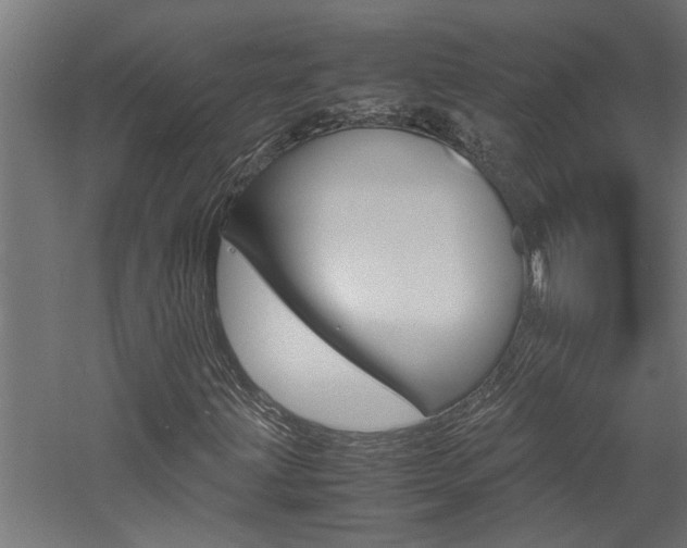 X0000060751203200511100929