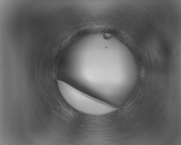 X0000060751204200511100929