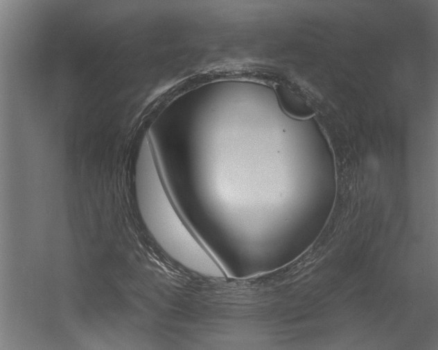 X0000060751206200511100929