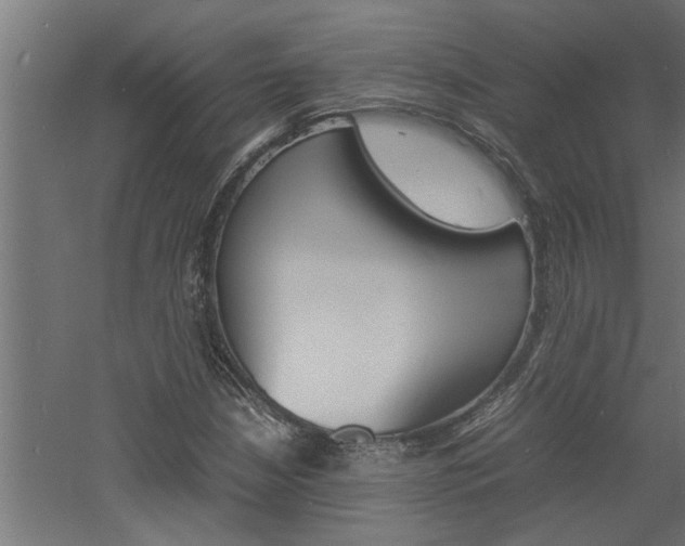 X0000060751210200511100929