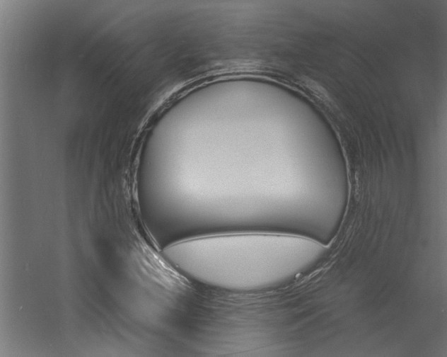 X0000060751212200511100929