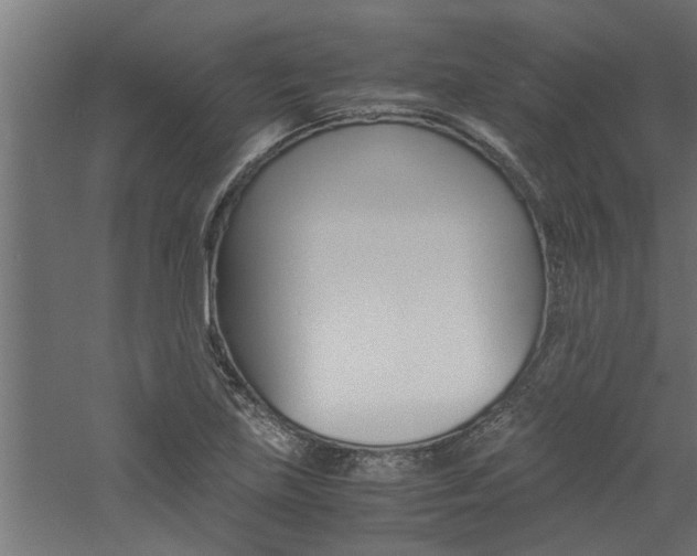 X0000060751219200511100929