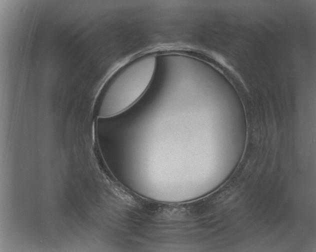 X0000060751221200511100929