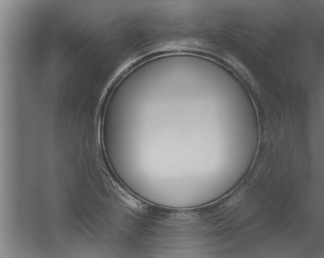 X0000060751224200511100929
