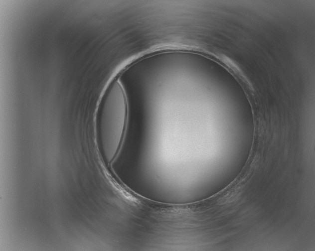 X0000060751238200511100929