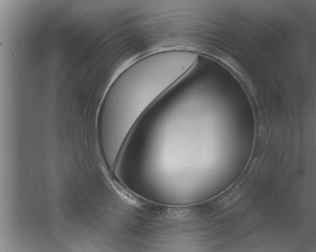 X0000060751242200511100929