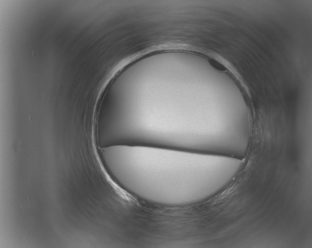 X0000060751245200511100929