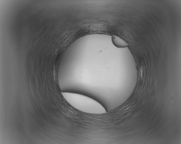X0000060751251200511100929
