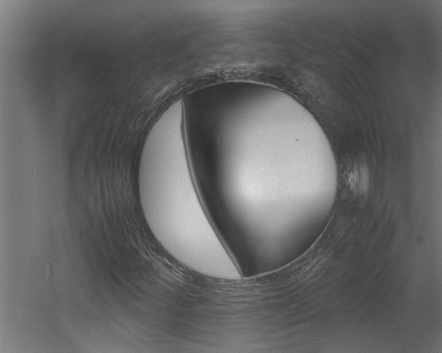 X0000060751252200511100929