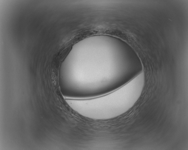 X0000060751253200511100929
