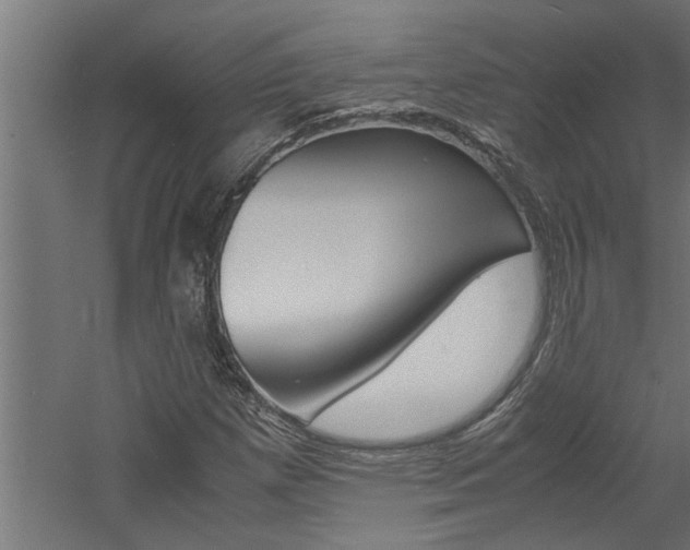 X0000060751257200511100929