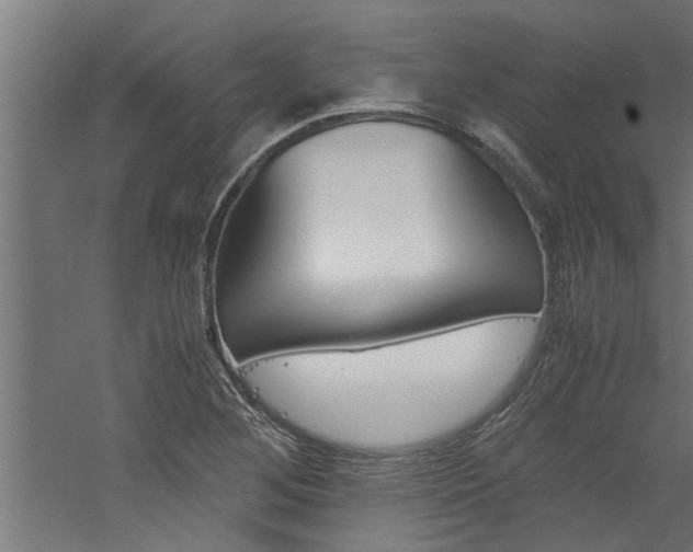 X0000060751268200511100928