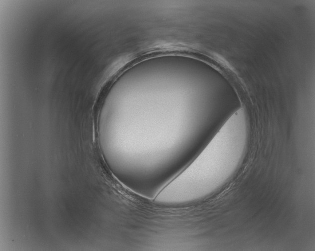 X0000060751269200511100928