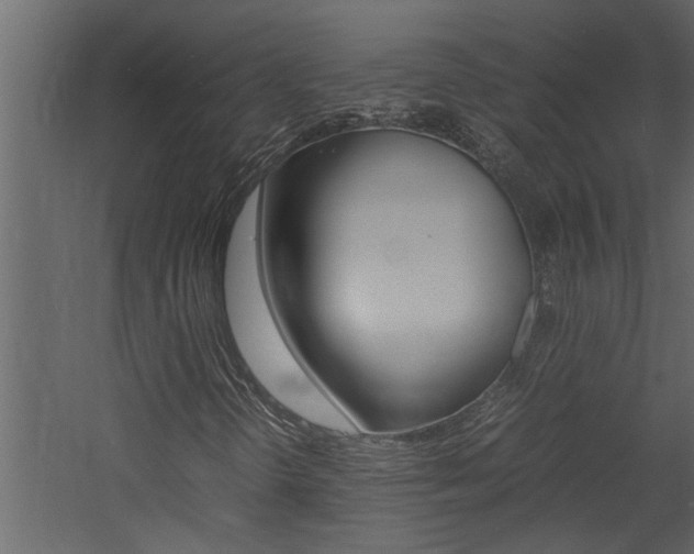 X0000060751298200511100927