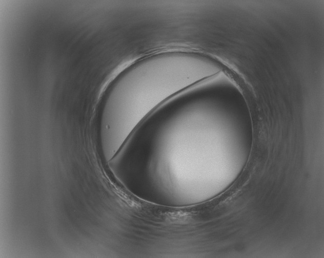 X0000060751317200511100927