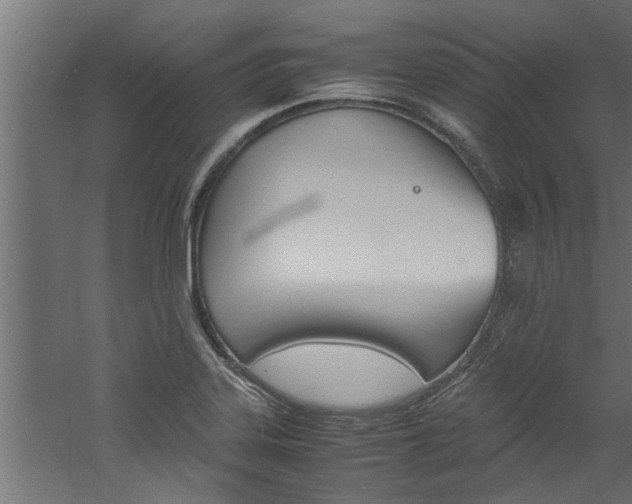 X0000060751323200511100927