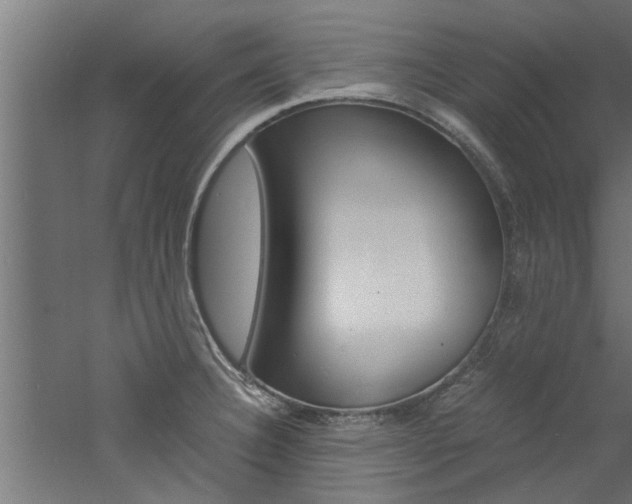 X0000060751332200511100928