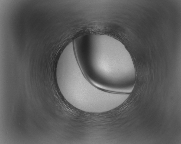 X0000060751345200511100927